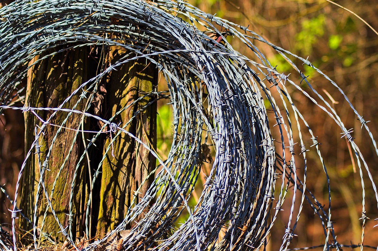 barbed wire roll, wire, barb, barbed, fence, security, metal, rust, boundary, obstacle, demarcation, fencing, brown security, brown metal