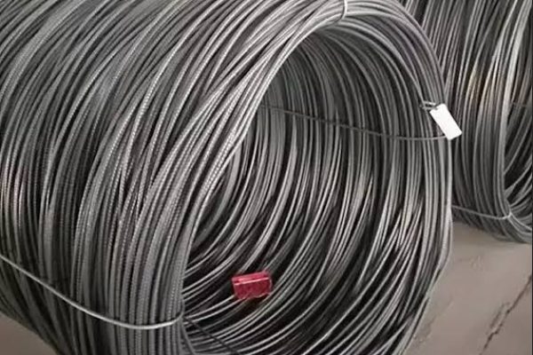 whatsapp image 2025 08 07 at 12.56.43 pm